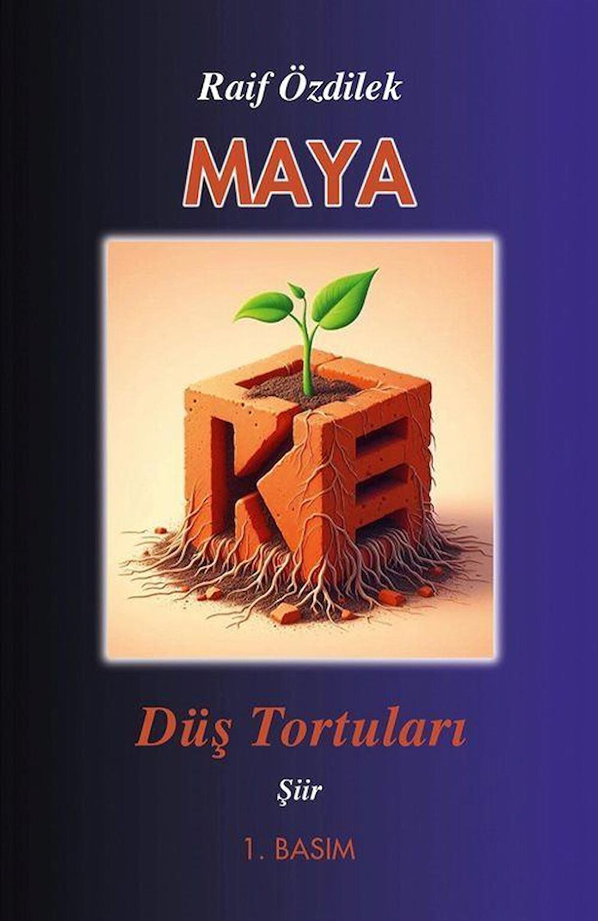 Maya Düş Tortuları / Raif Özdilek