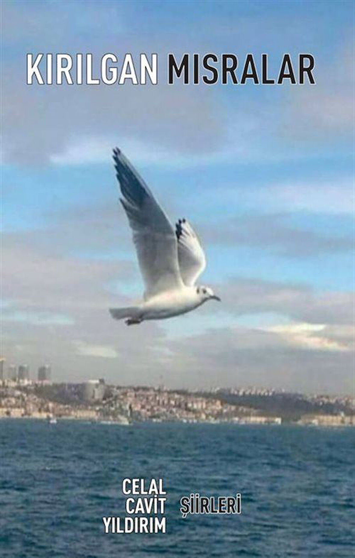 Kırılgan Mısralar / Celal Cavit Yıldırım