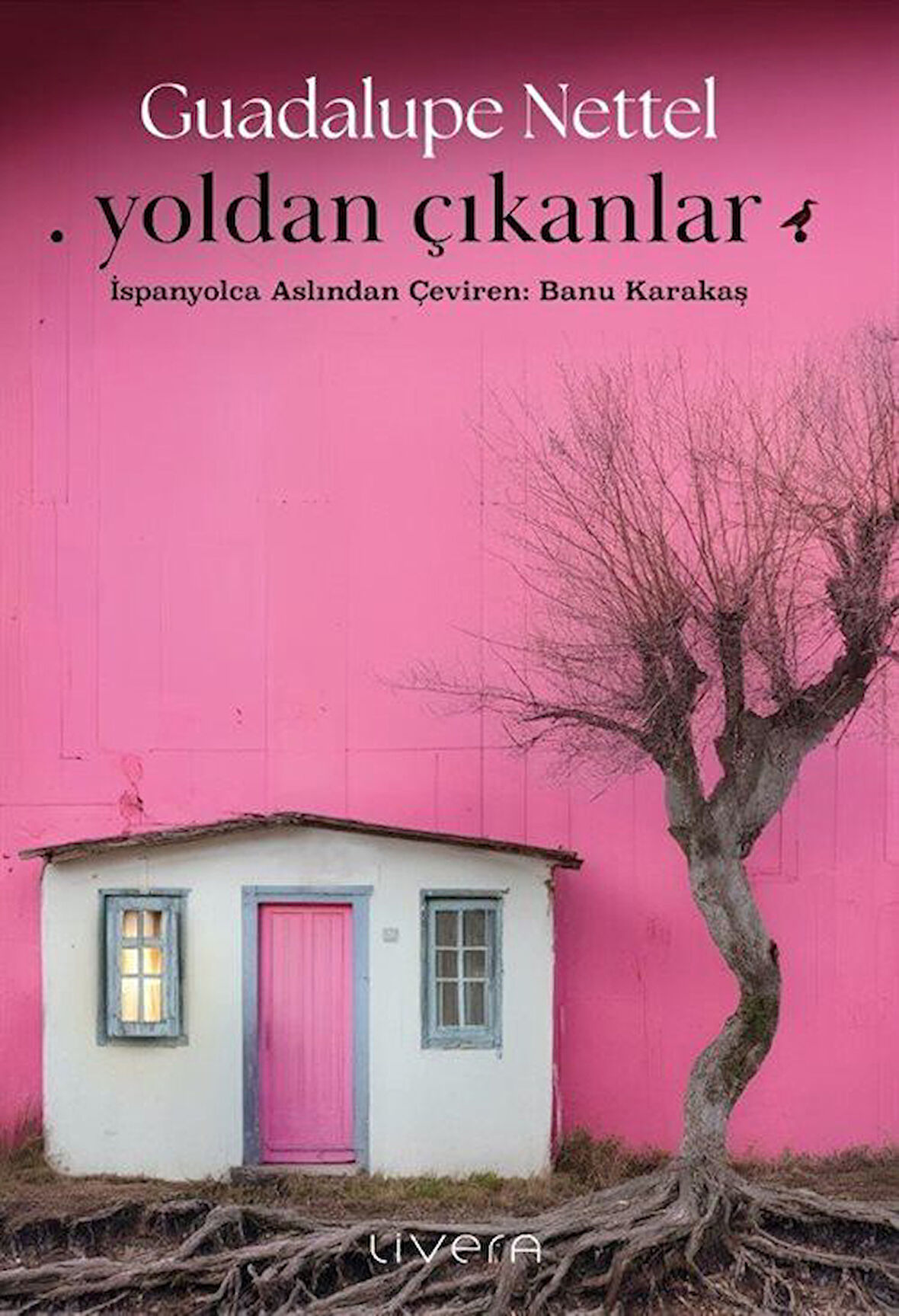 Yoldan Çıkanlar / Guadalupe Nettel