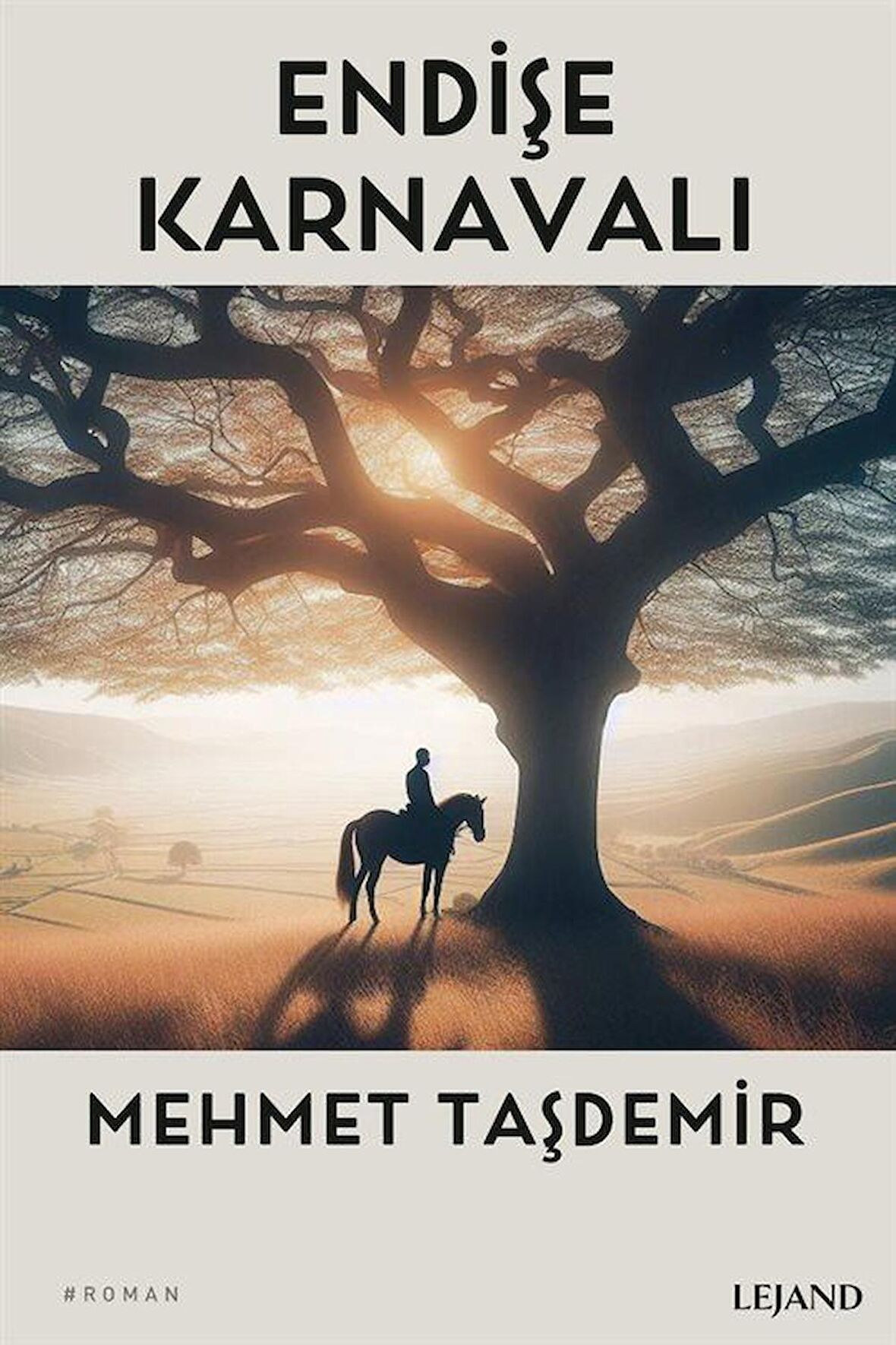 Endişe Karnavalı