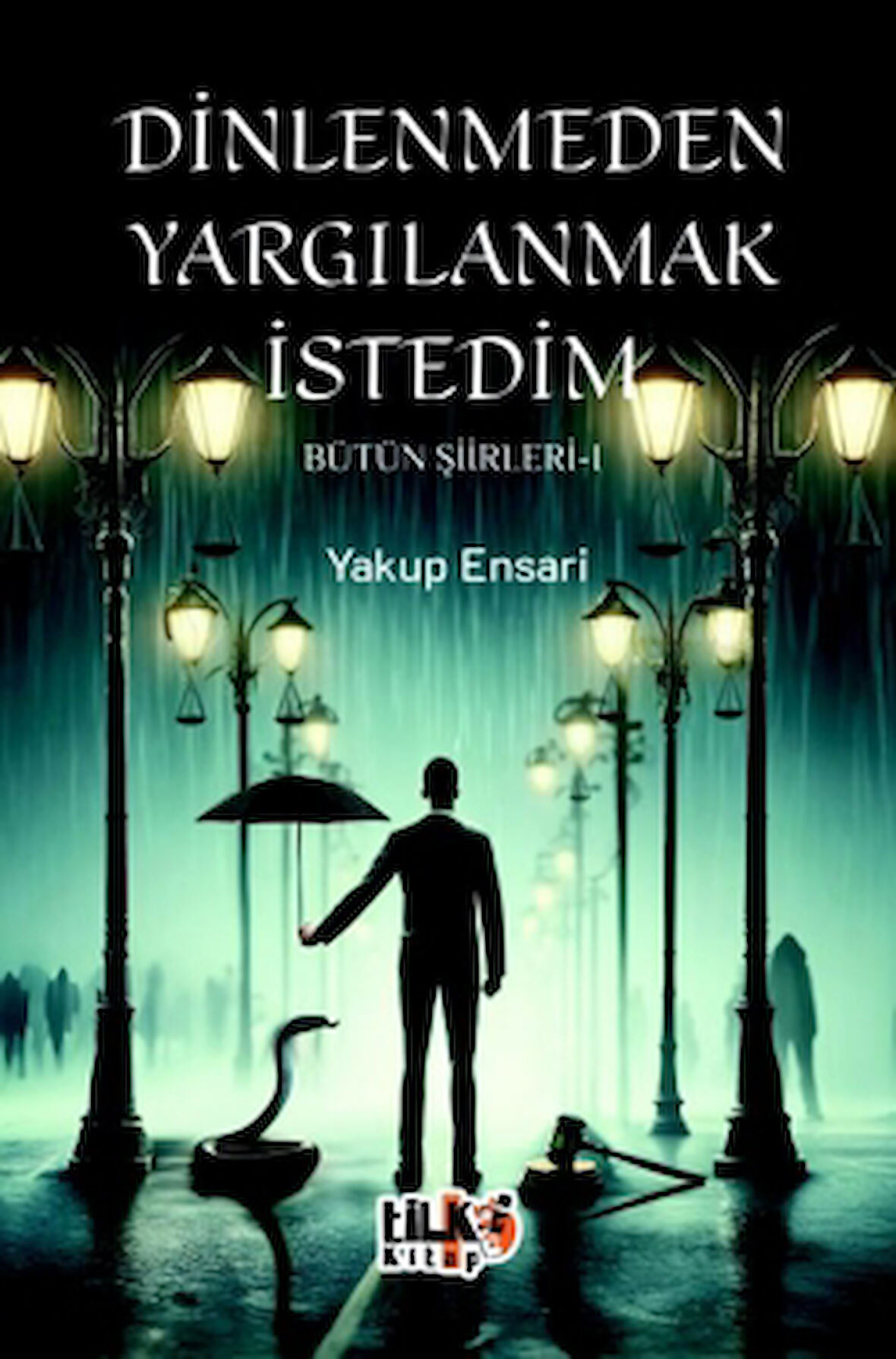 Dinlenmeden Yargılanmak İstedim - Bütün Şiirleri 1