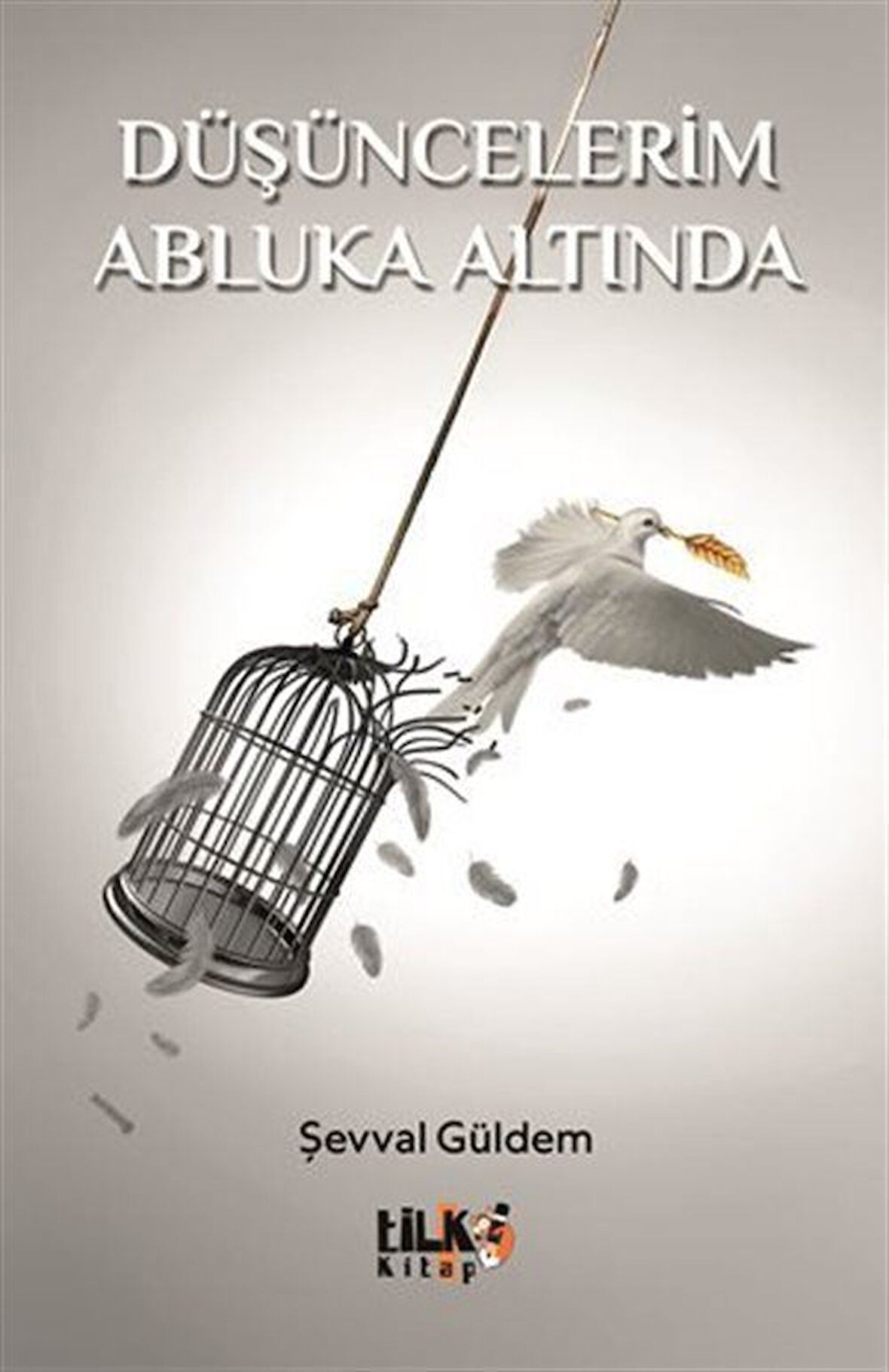 Düşüncelerim Abluka Altında / Şevval Güldem