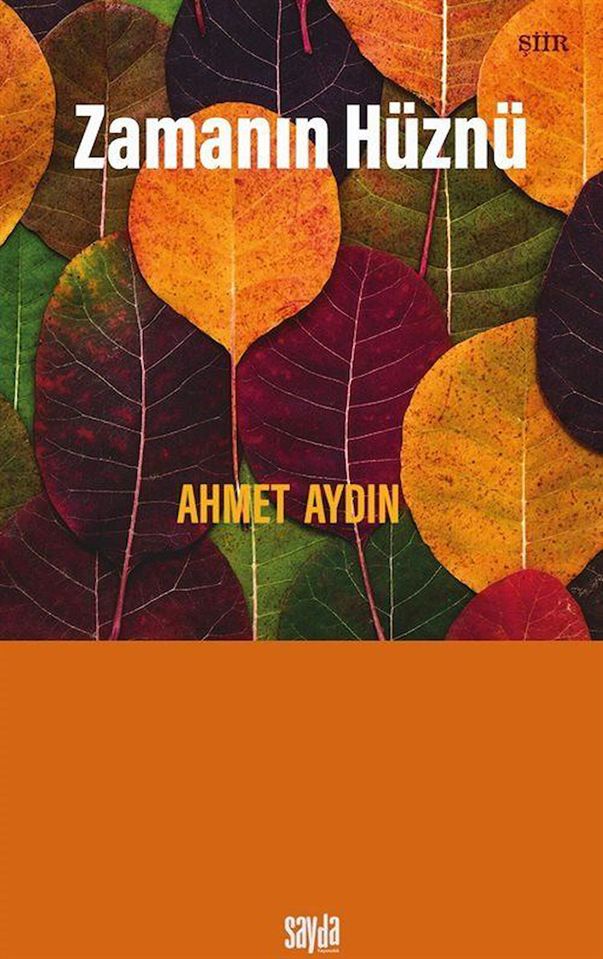 Zamanın Hüznü / Ahmet Aydın