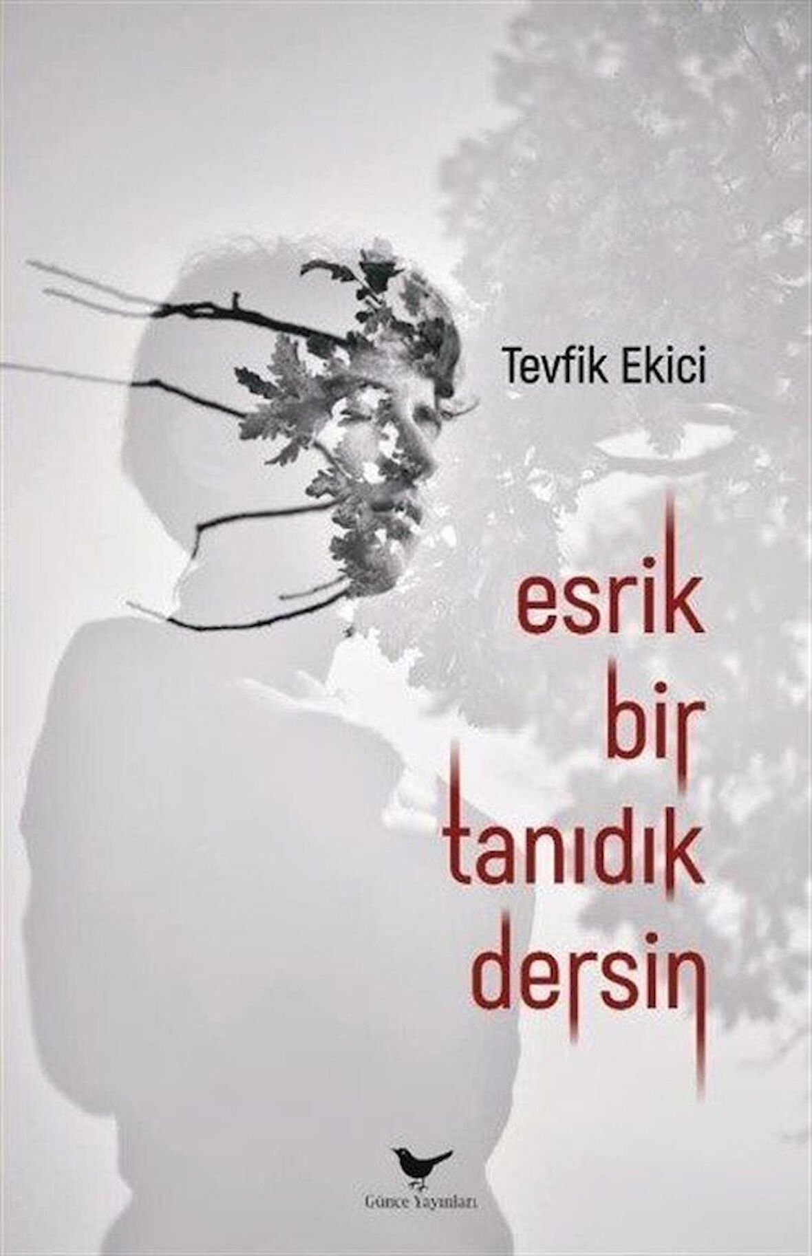 Esrik Bir Tanıdık Dersin