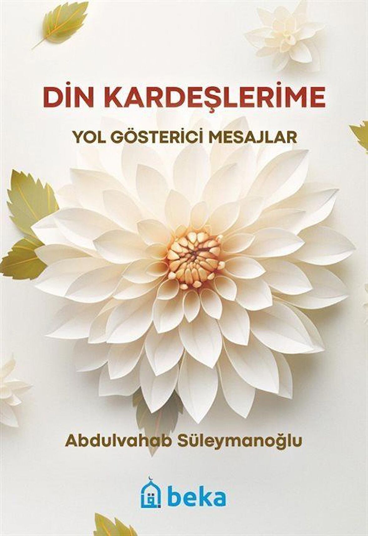 Din Kardeşlerime Yol Gösterici Mesajlar / Abdulvahab Süleymanoğlu