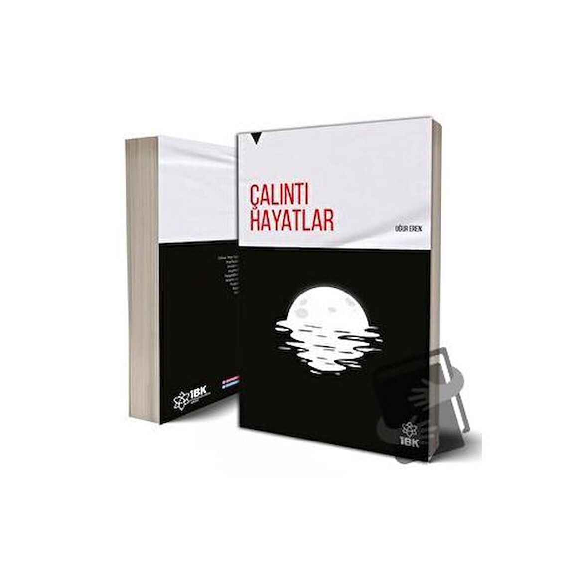 Çalıntı Hayatlar