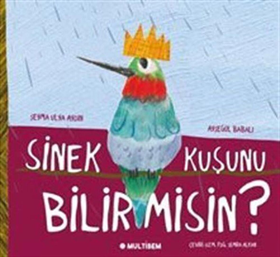 Sinek Kuşunu Bilir Misin? / Şeyma Ulya Aydın