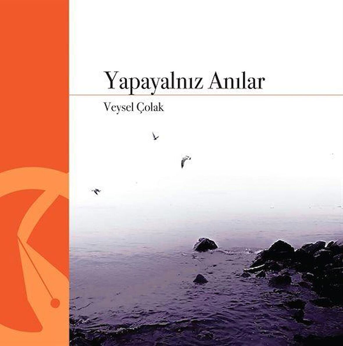Yapayalnız Anılar / Veysel Çolak