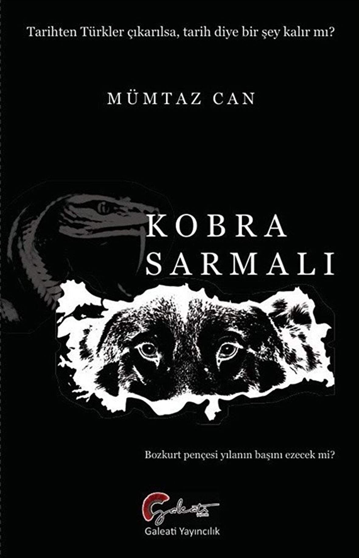 Kobra Sarmalı / Mümtaz Can