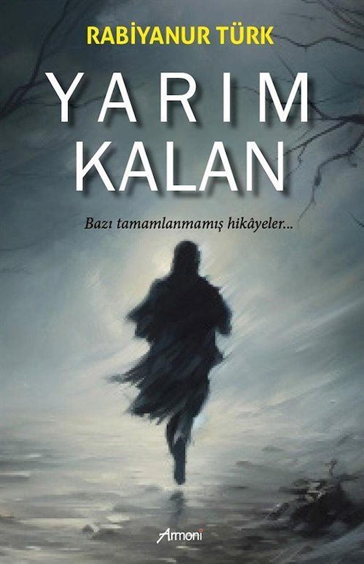 Yarım Kalan