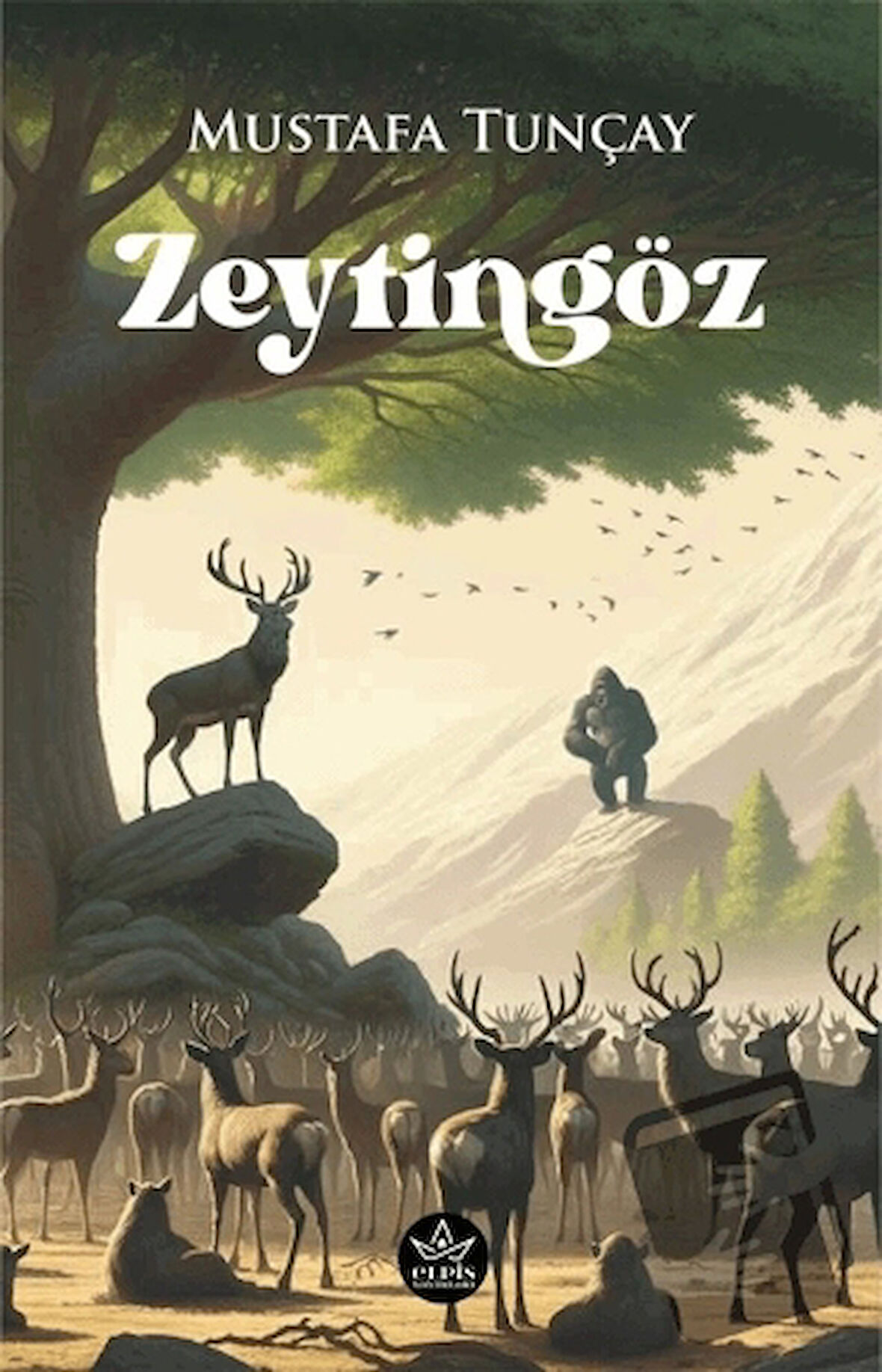 Zeytingöz / Mustafa Tunçay