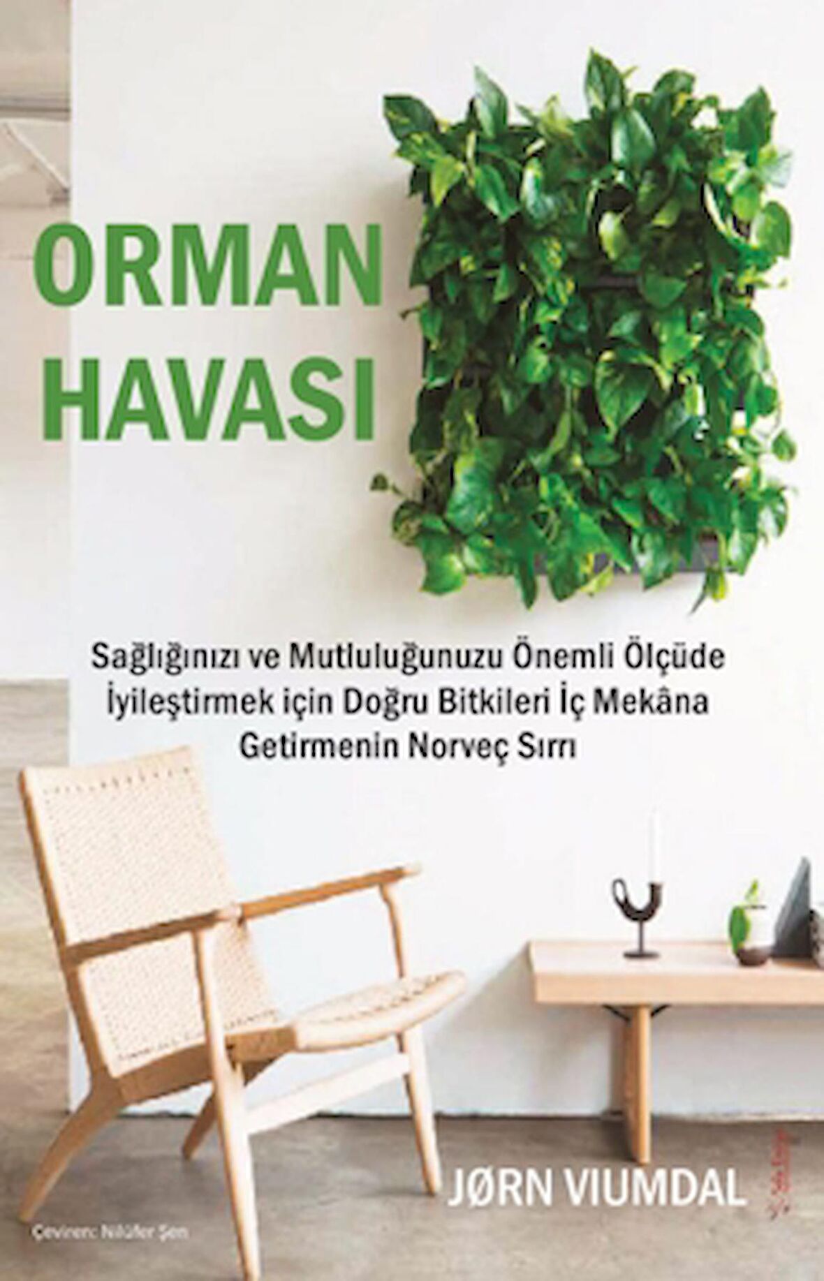 Orman Havası