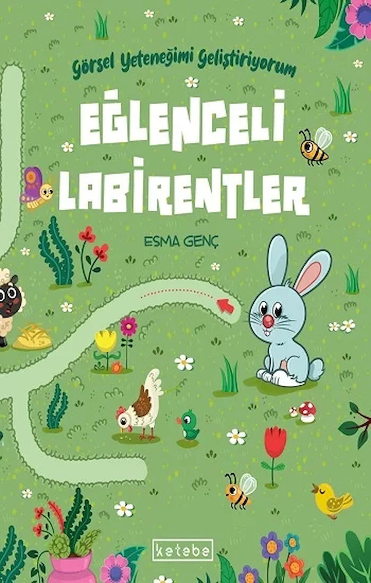 Eğlenceli Labirentler