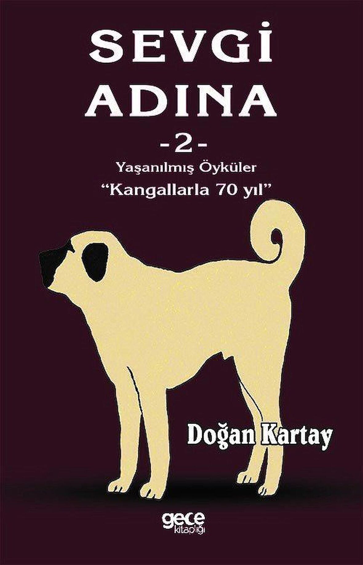 Sevgi Adına Öyküler - 2