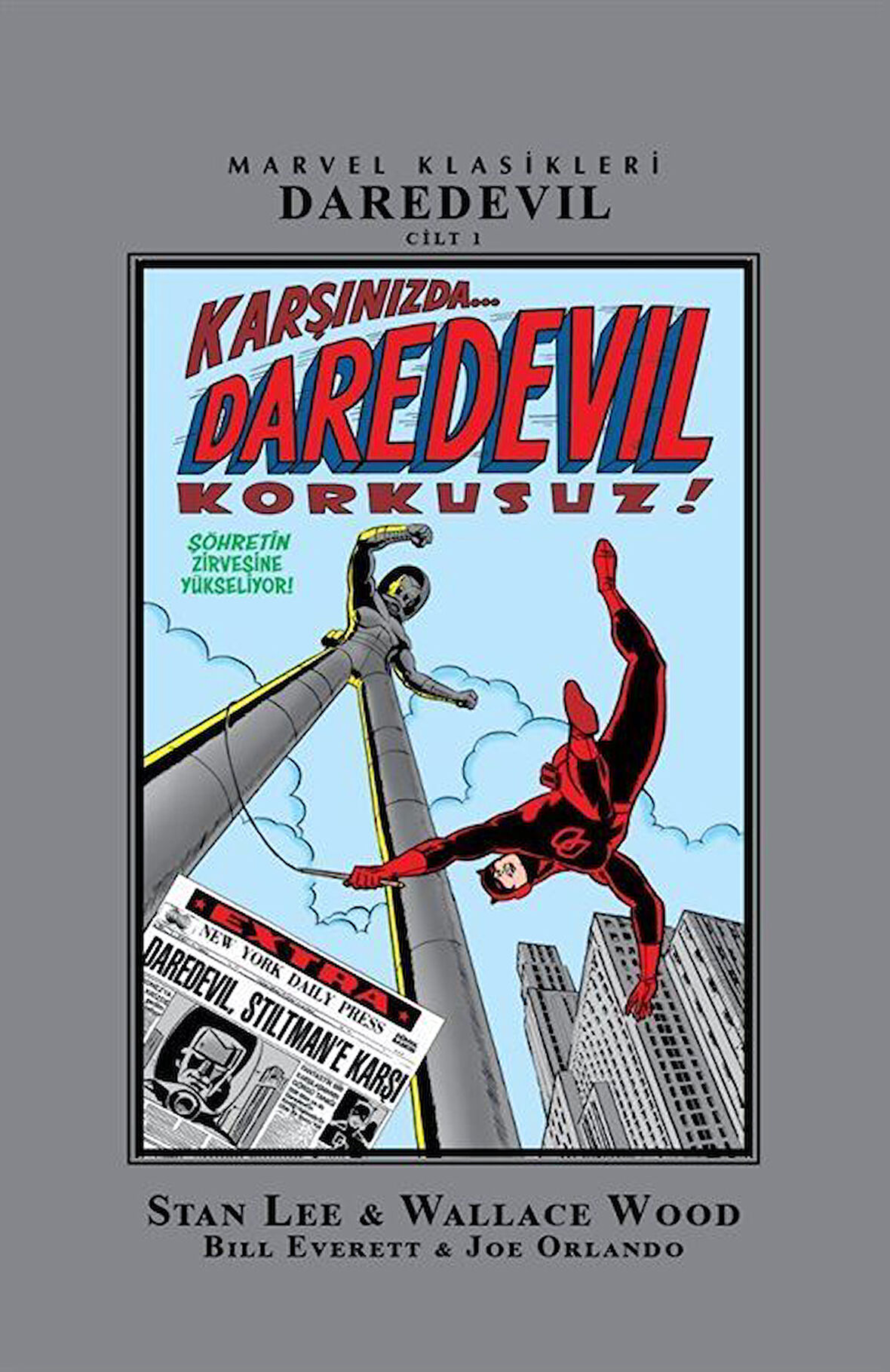 Daredevil Klasikleri Cilt 1 / Stan Lee