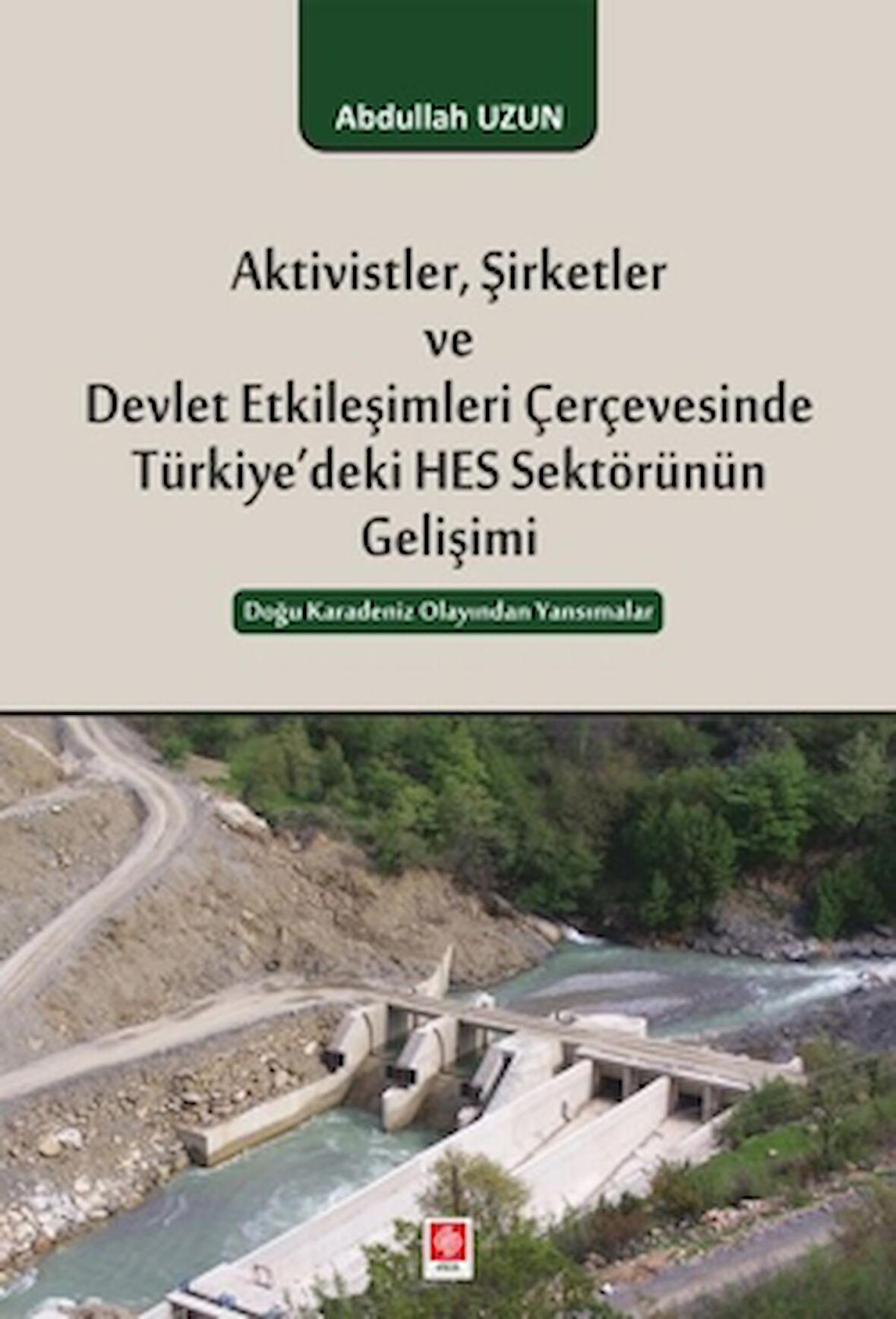 Aktivistler, Şirketler ve Devlet Etkileşimleri Çerçevesinde Türkiye'deki HES Sektörünün Gelişimi