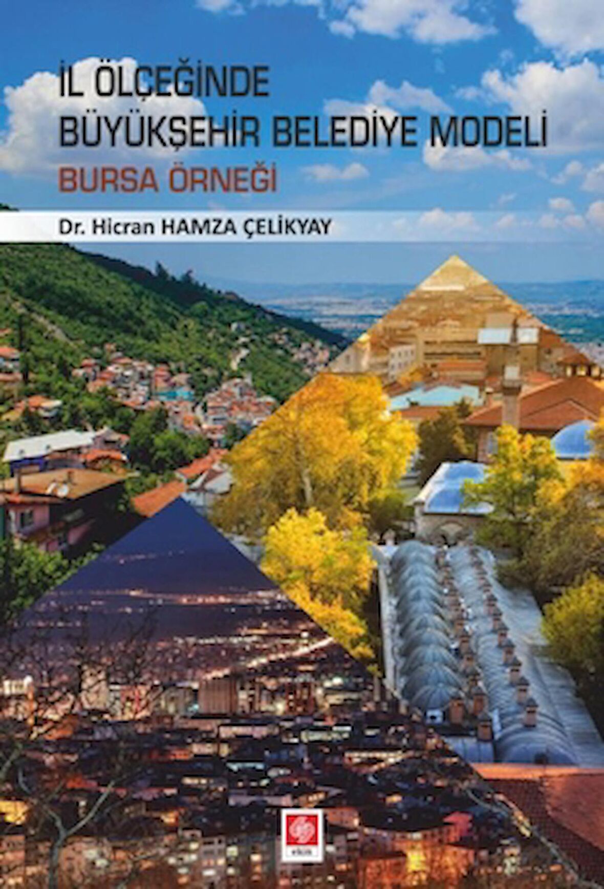 İl Ölçeğinde Büyükşehir Belediye Modeli: Bursa Örneği
