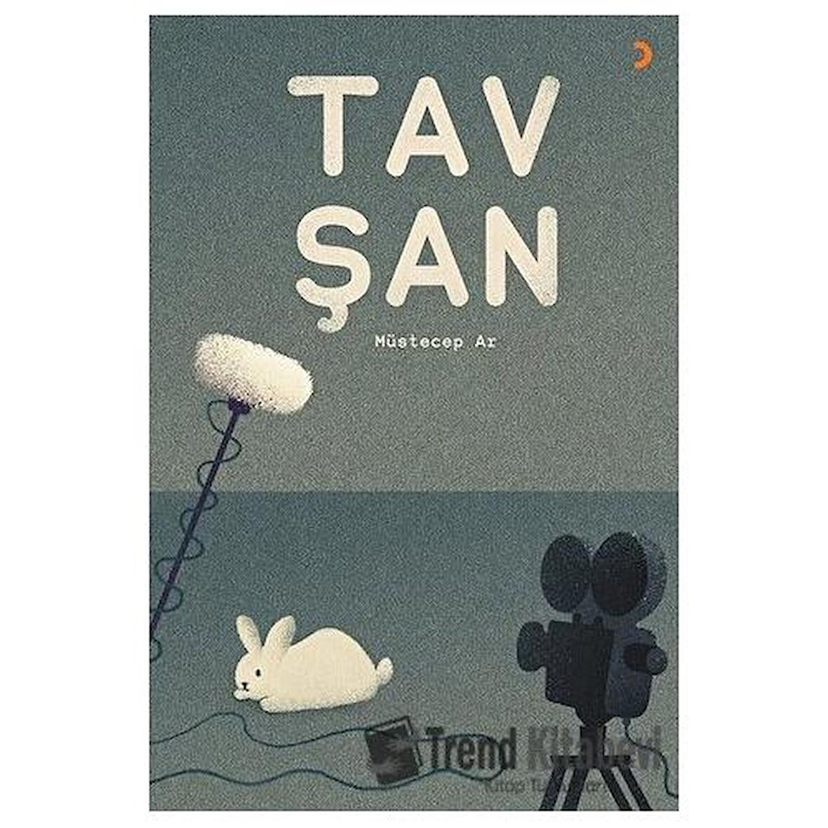 Tavşan