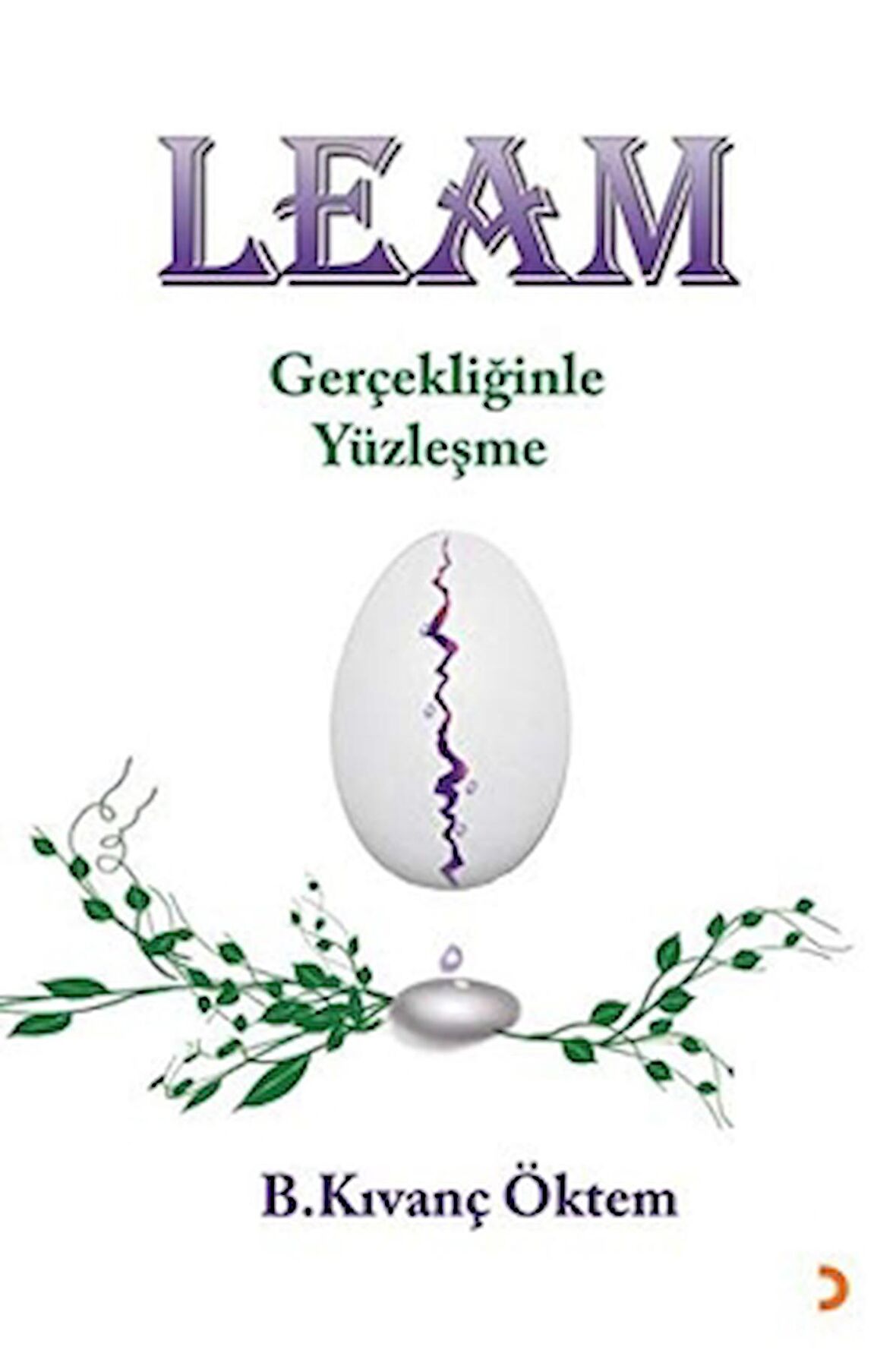 Leam - Gerçekliğinde Yüzleşme