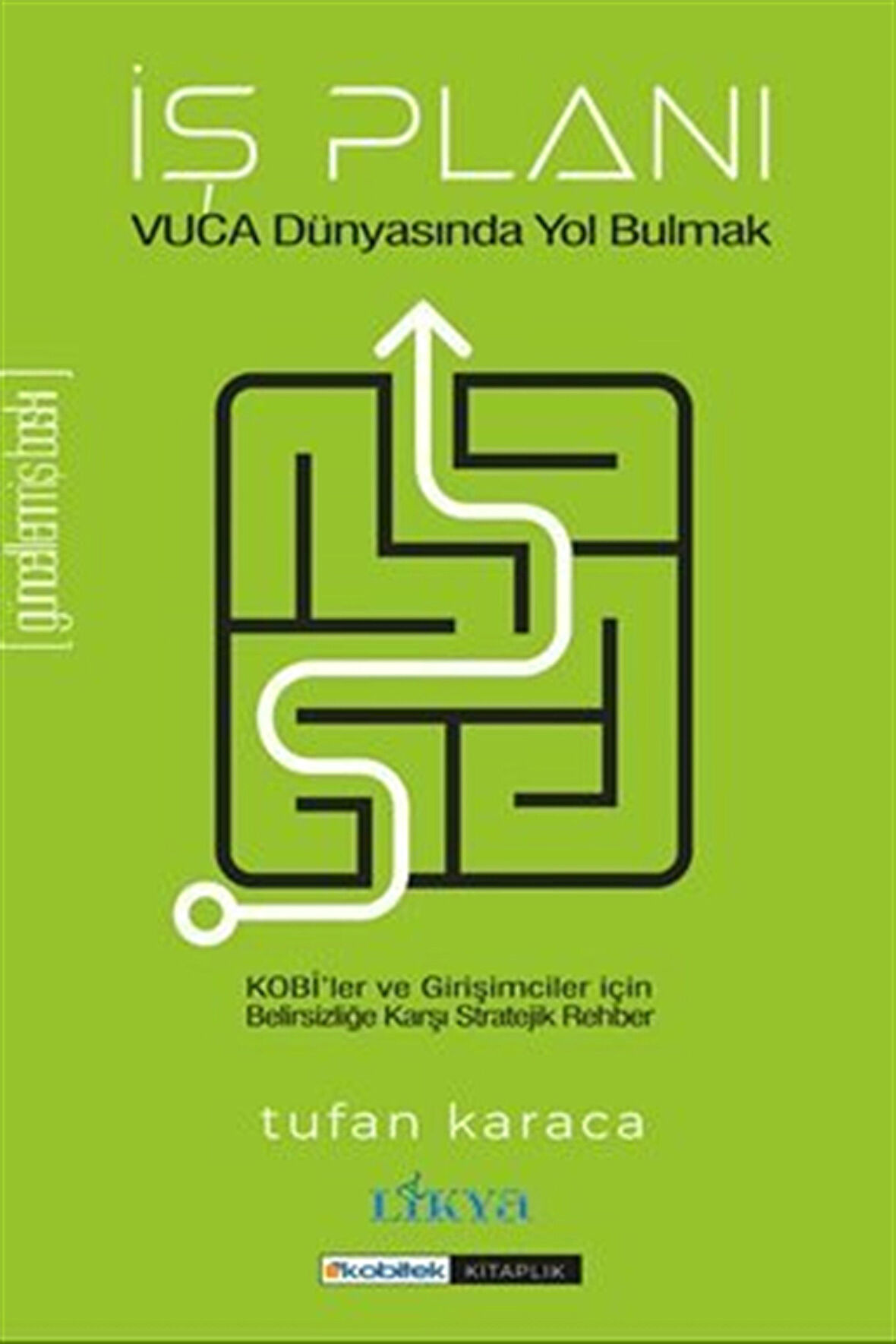 İş Planı & Vuca Dünyasında Yol Bulmak / Tufan Karaca