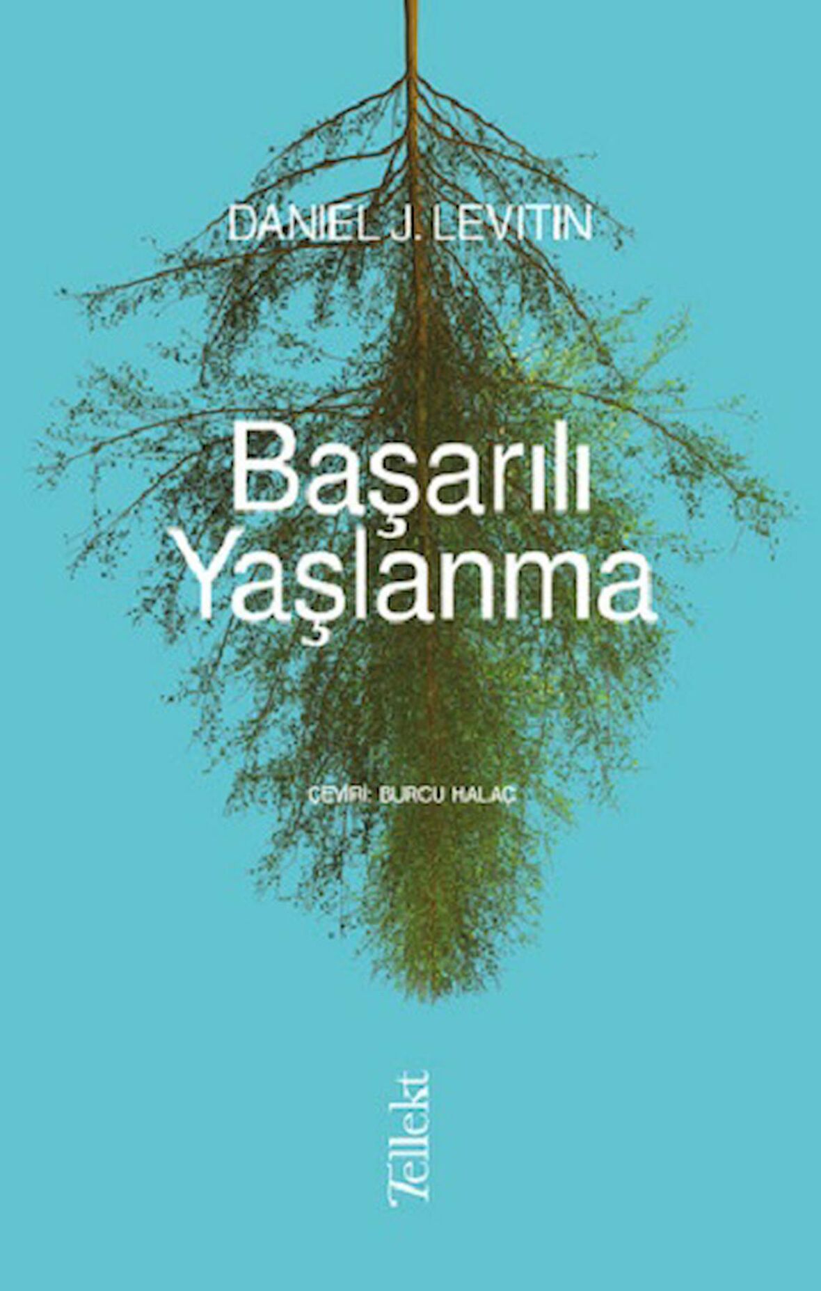 Başarılı Yaşlanma