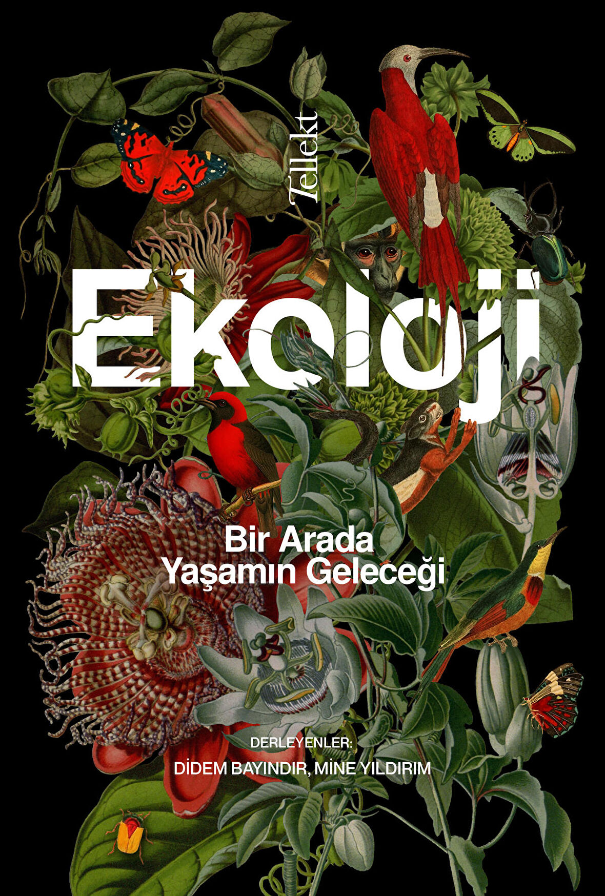 Ekoloji: Bir Arada Yaşamın Geleceği