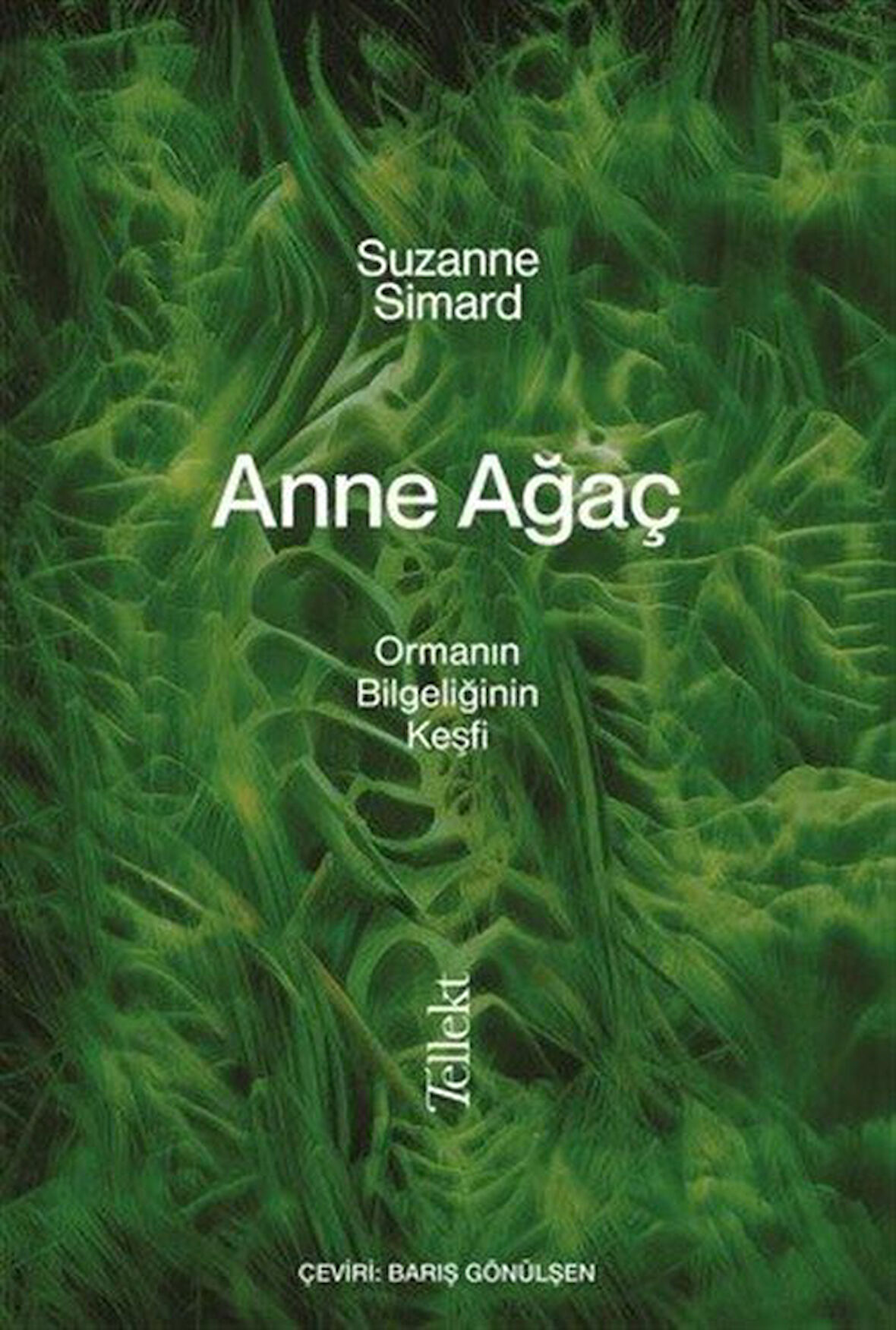 Anne Ağaç / Suzanne Simard