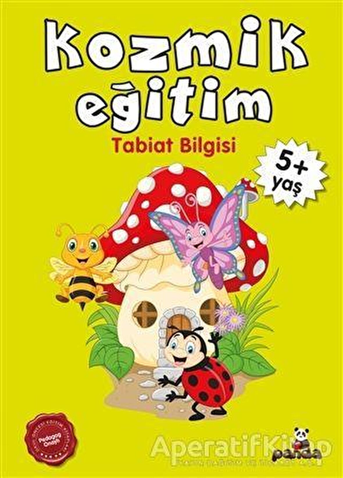 Kozmik Eğitim +4 Yaş