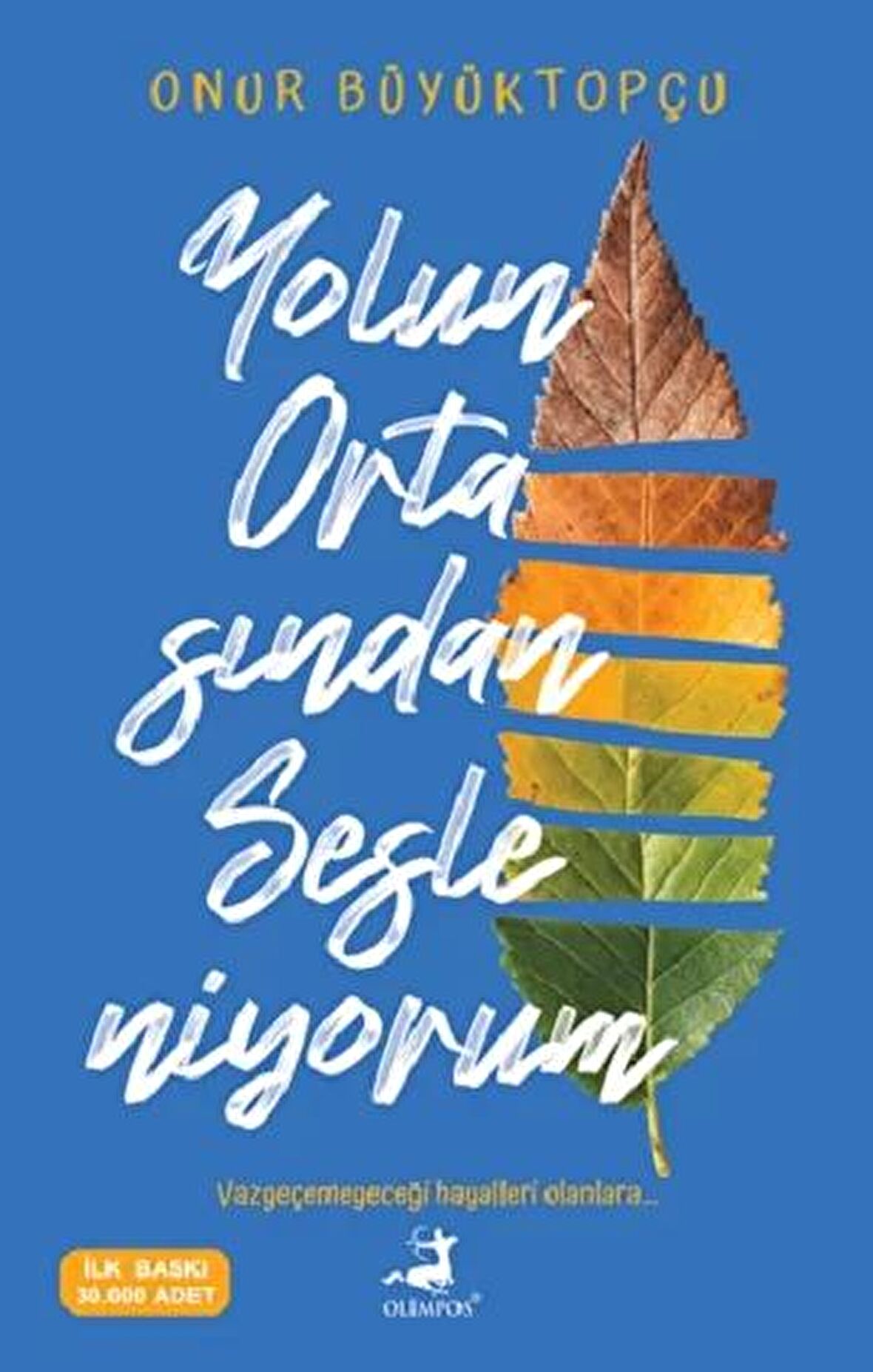 Yolun Ortasından Sesleniyorum