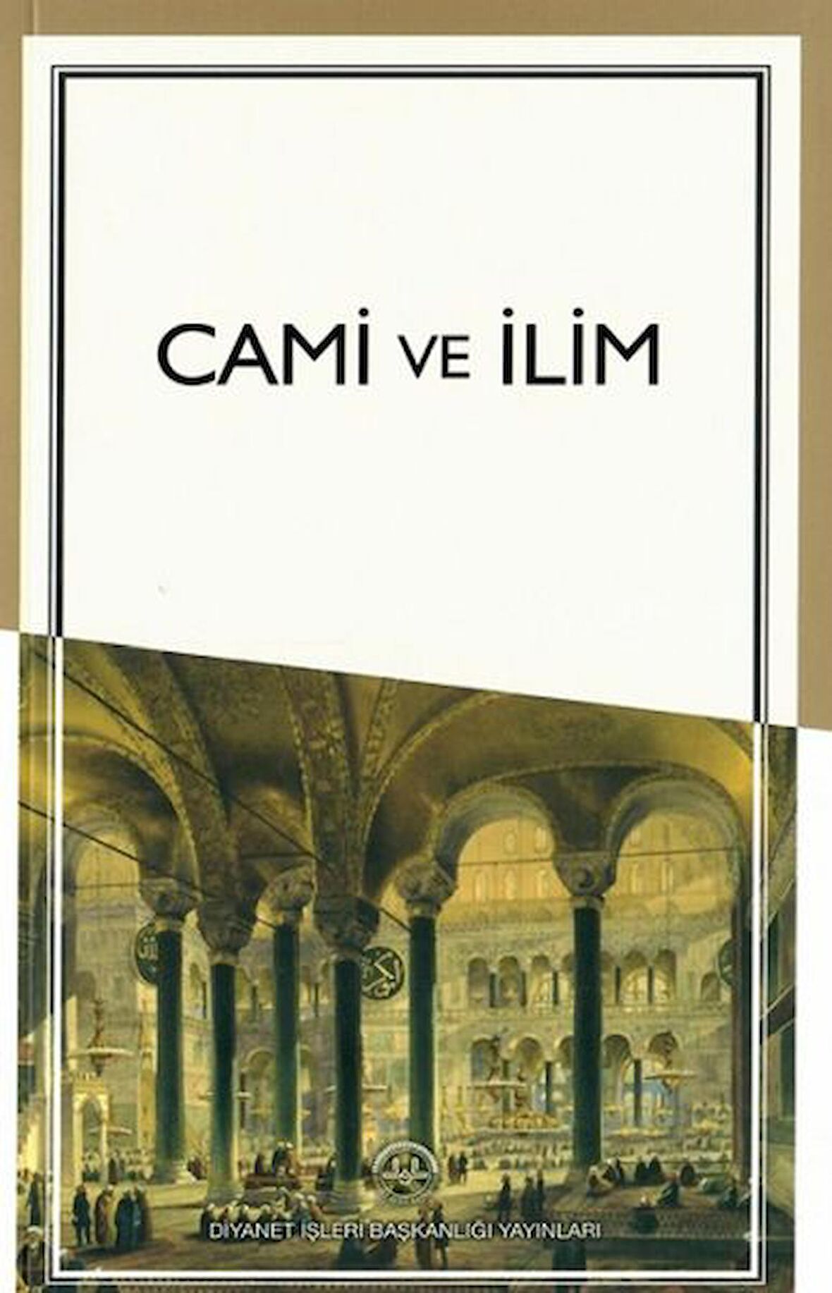Cami ve İlim