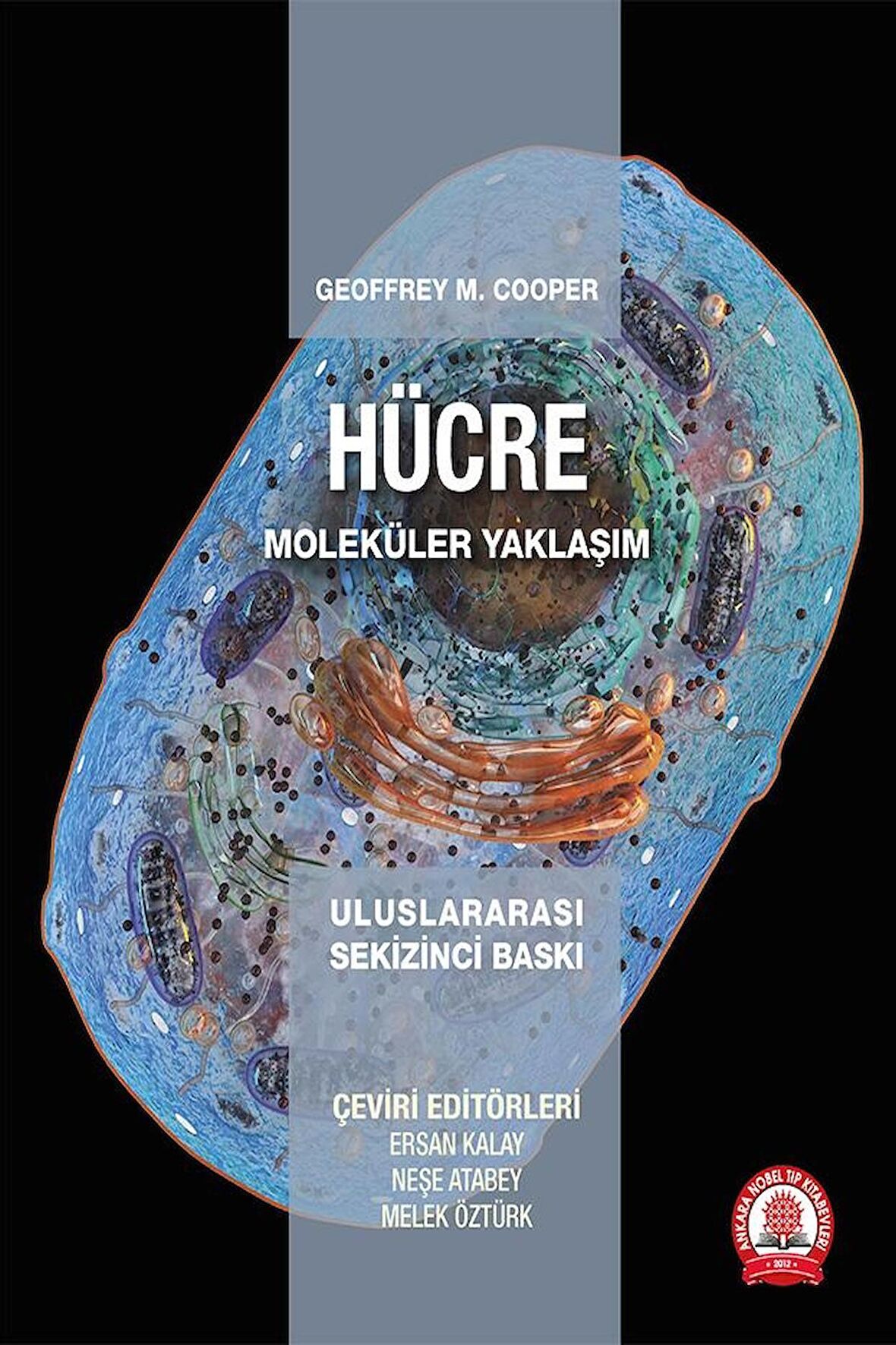 Hücre Moleküler Yaklaşım