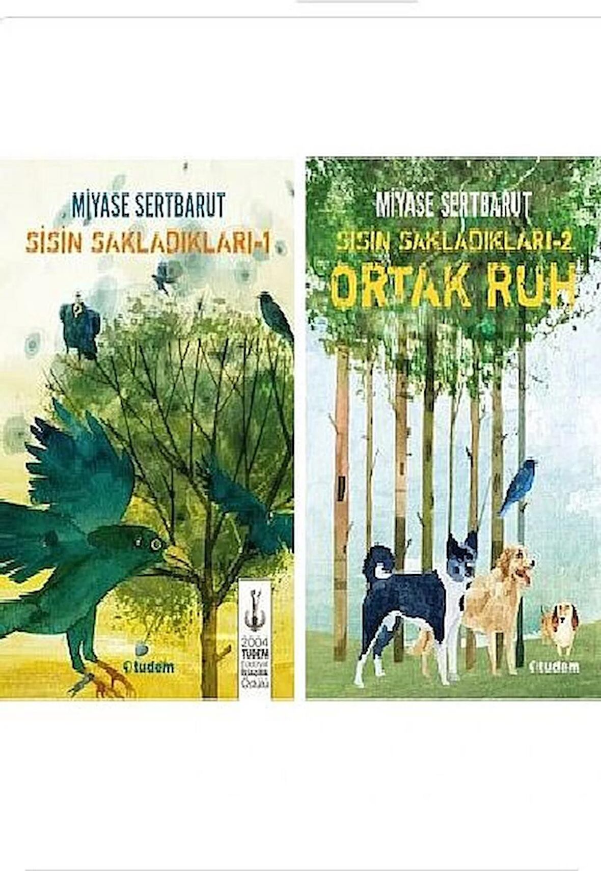 Sisin Sakladıkları Set ( 2 Kitap) Tudem Edebiyat