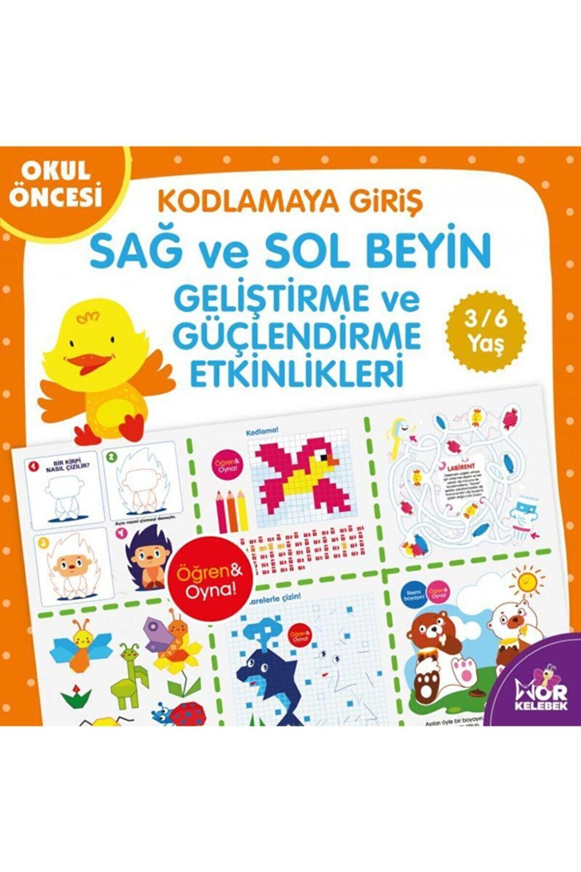 Kodlamaya Giriş Sağ ve Sol Beyin Geliştirme ve Güçlendirme Etkinlikleri