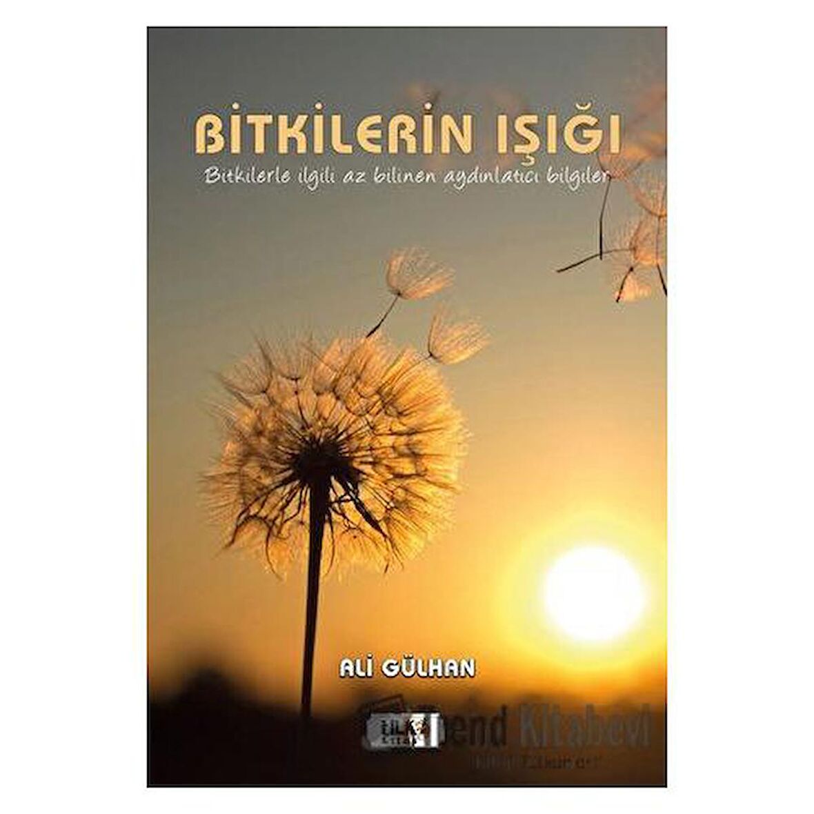 Bitkilerin Işığı