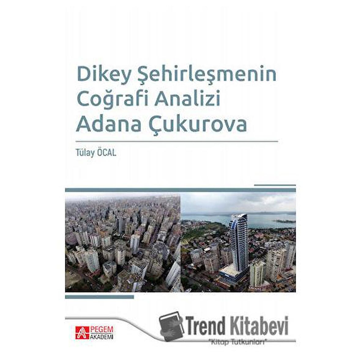 Dikey Şehirleşmenin Coğrafi Analizi Adana Çukurova