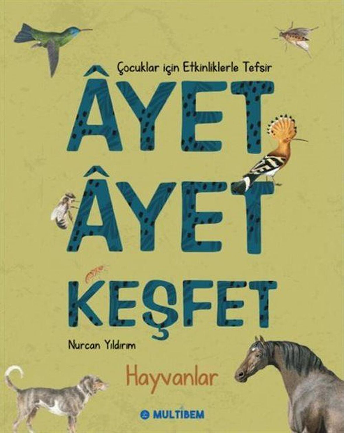 Ayet Ayet Keşfet