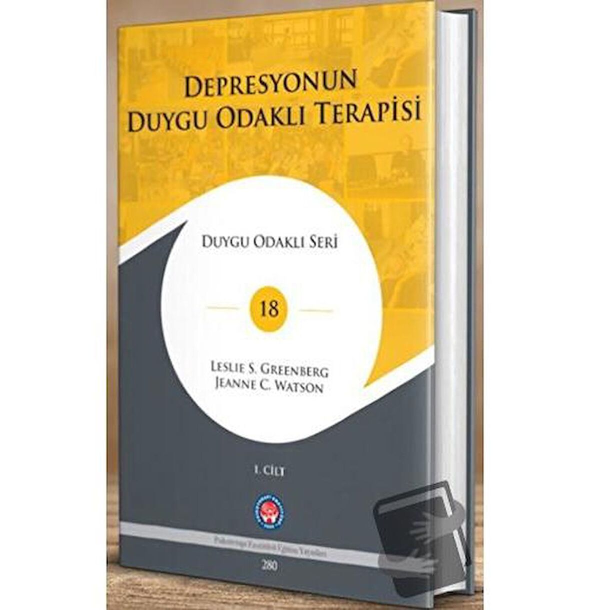 Depresyonun Duygu Odaklı Terapisi (2 Kitap Takım)