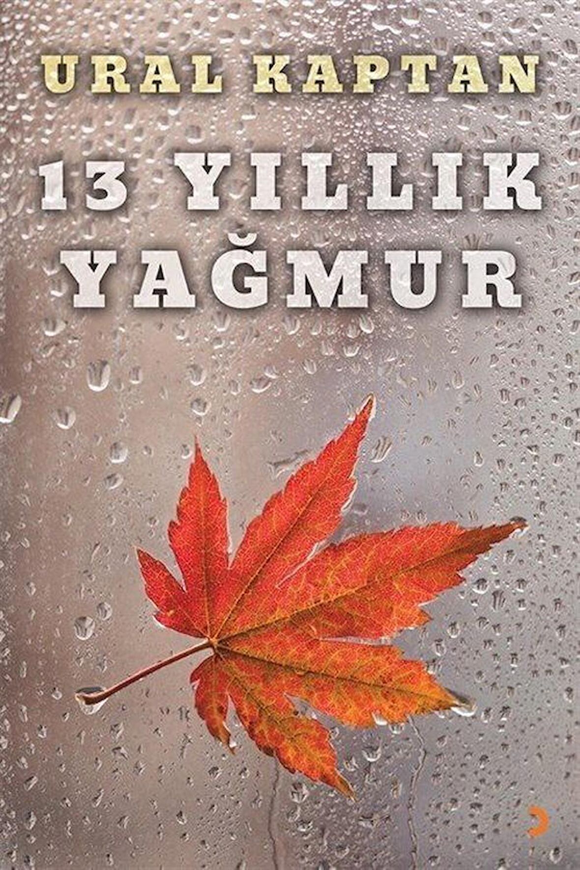 13 Yıllık Yağmur