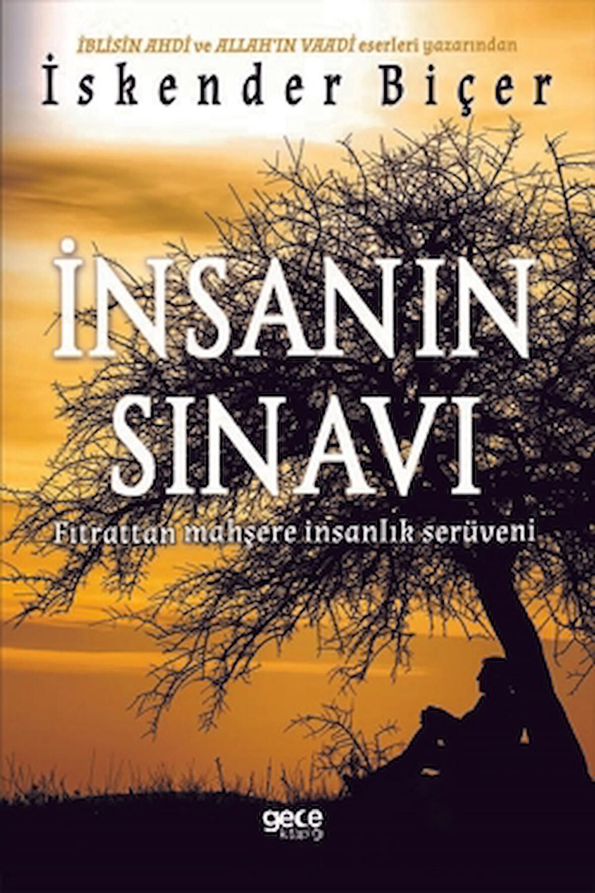 İnsanın Sınavı