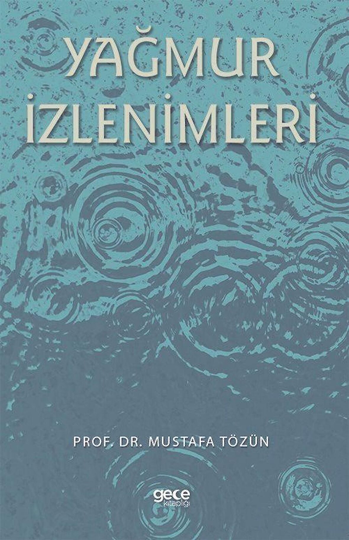 Yağmur İzlenimleri