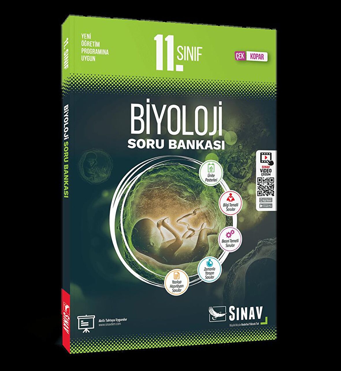 11. Sınıf Biyoloji Soru Bankası