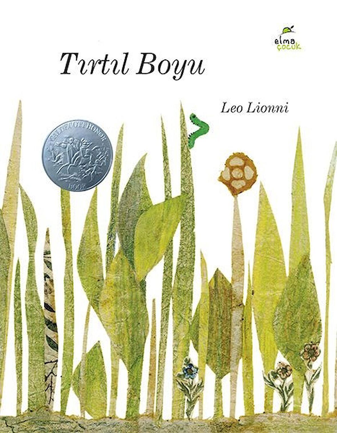 Tırtıl Boyu