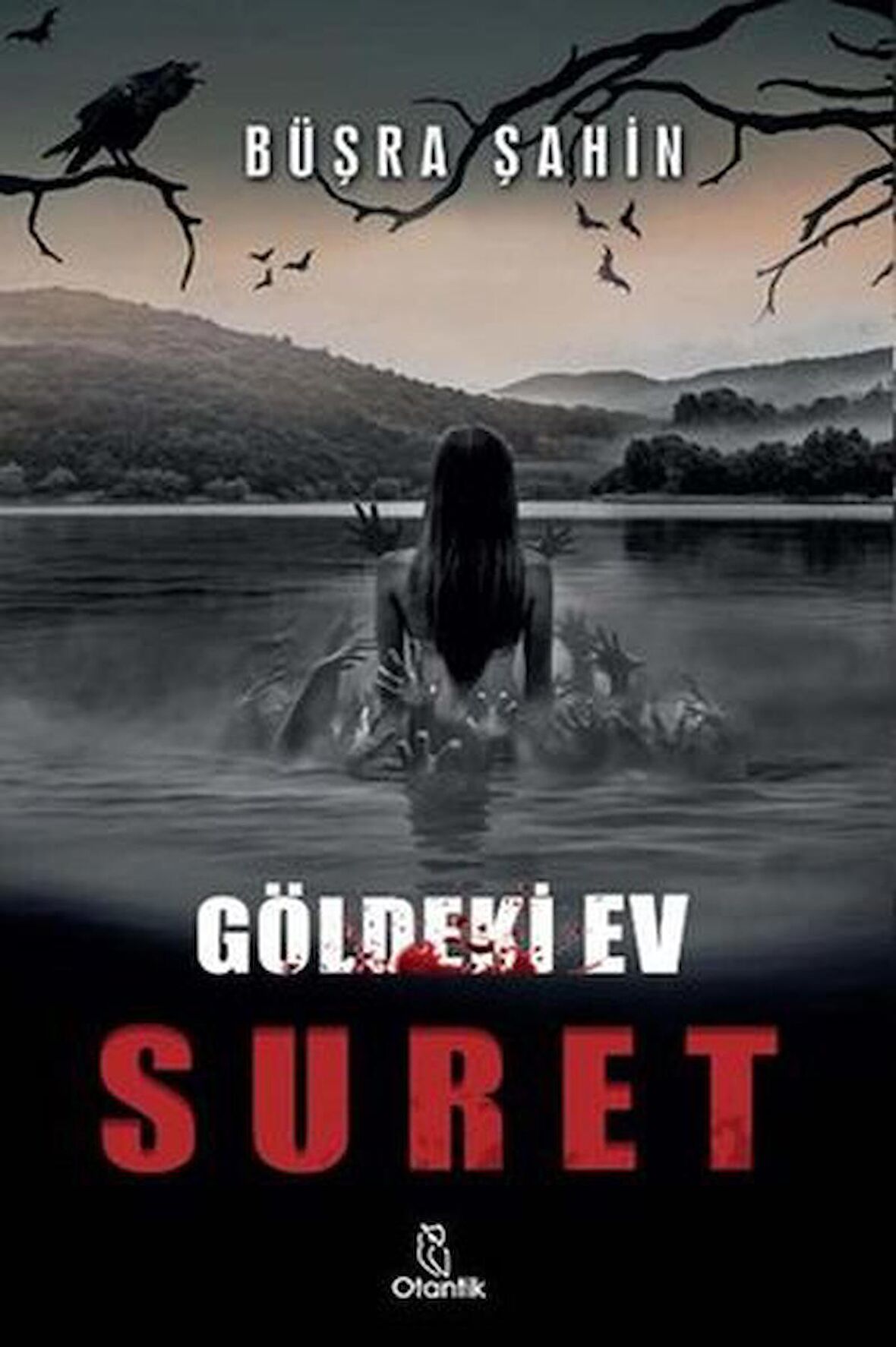 Suret - Göldeki Ev