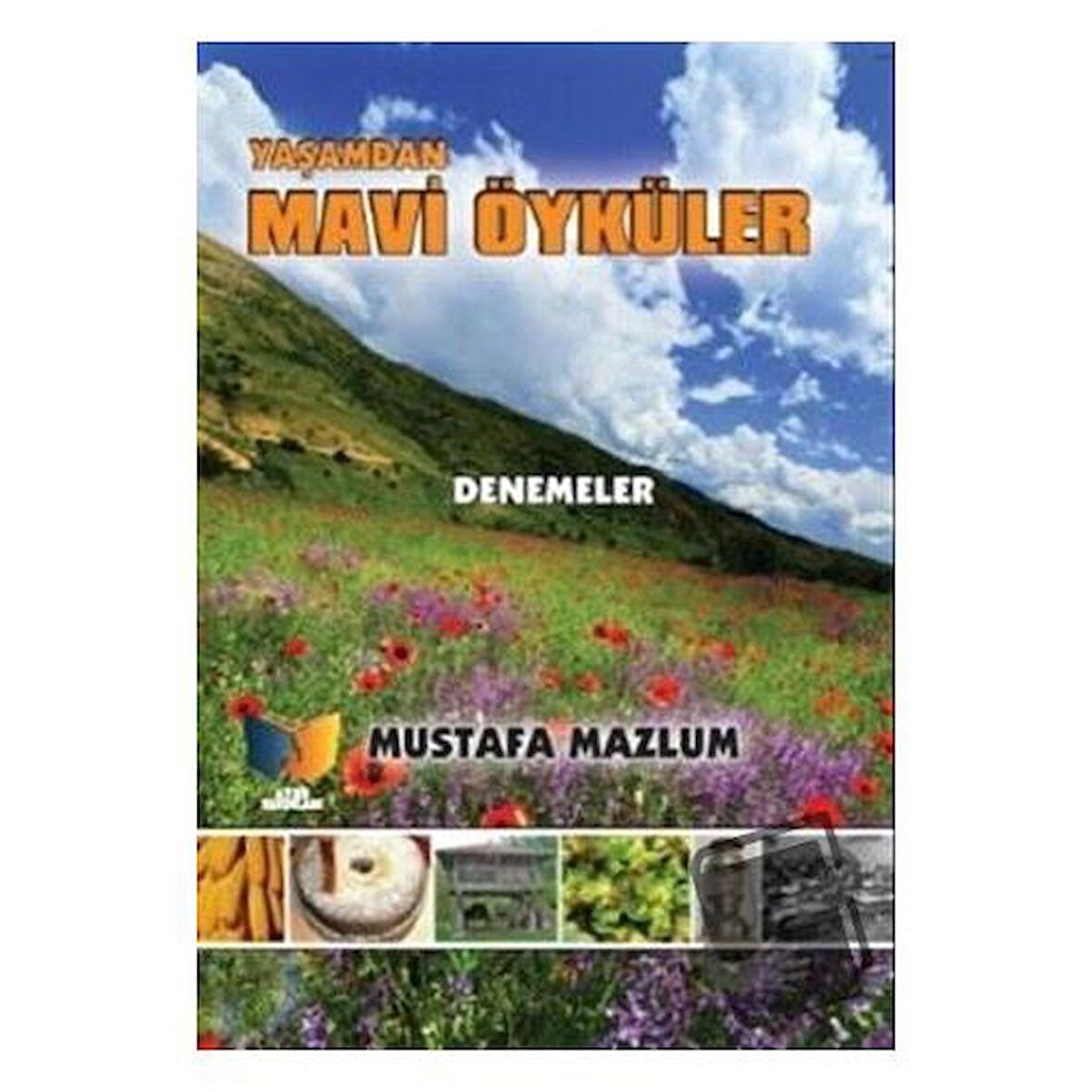 Yaşamdan Mavi Öyküler