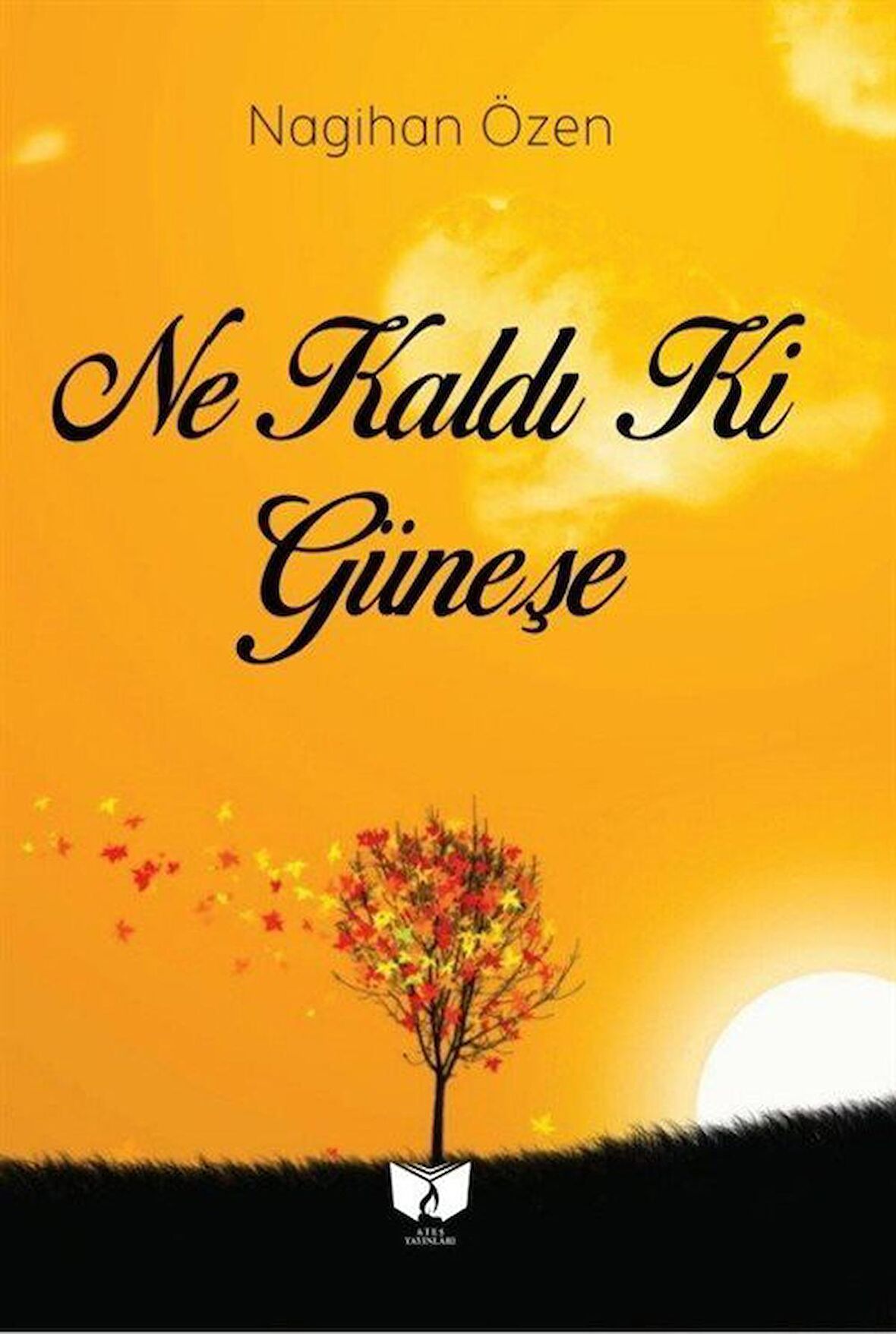 Ne Kaldı Ki Güneşe