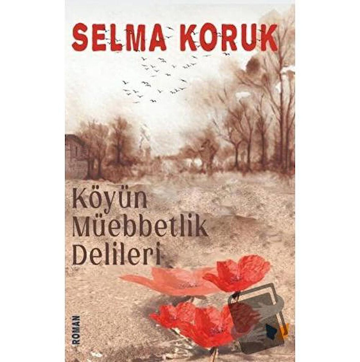 Köyün Müebbetlik Delileri