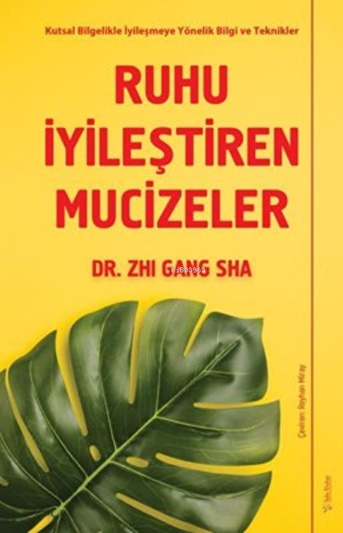 Ruhu İyileştiren Mucizeler