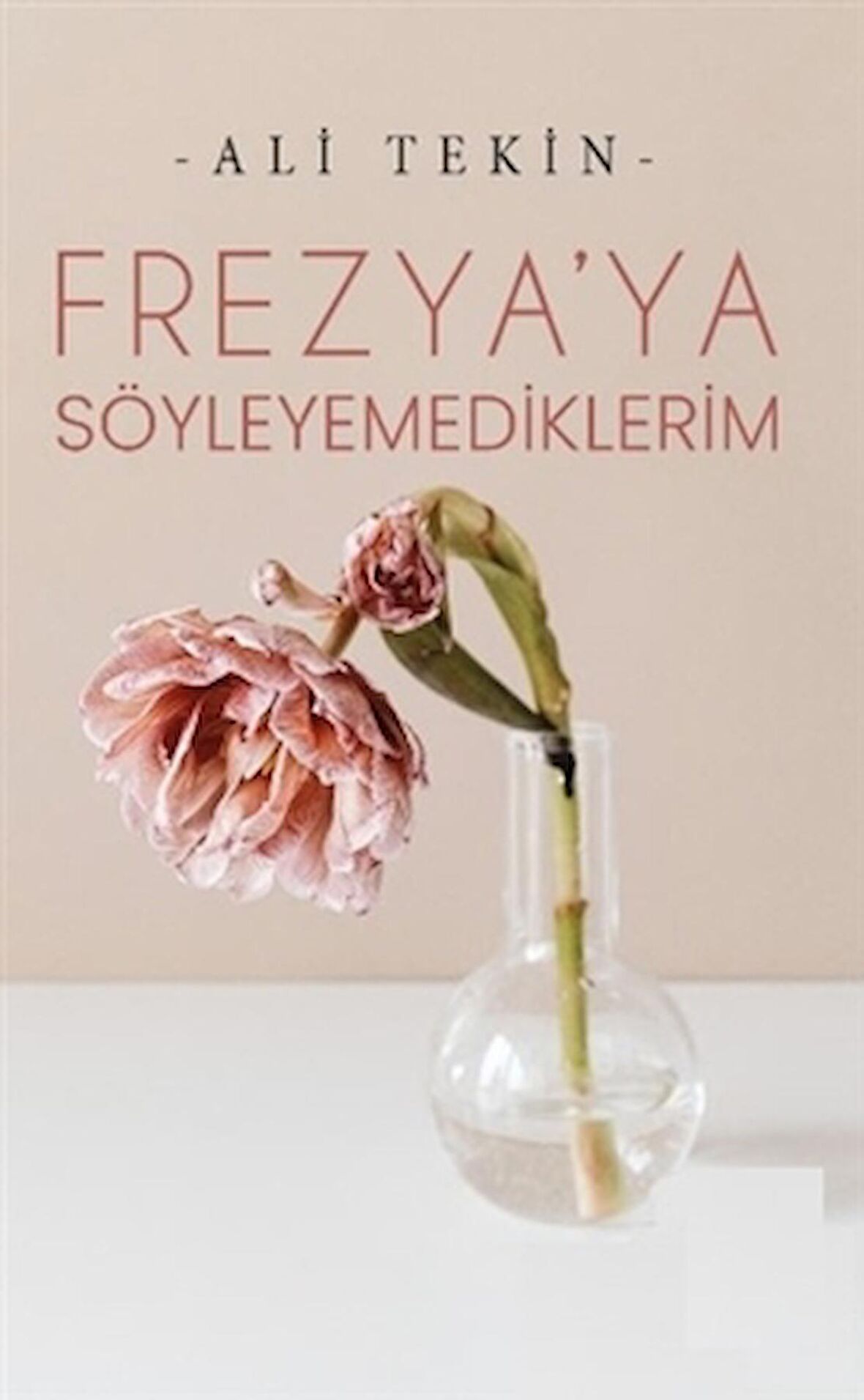 Frezya’ya Söyleyemediklerim