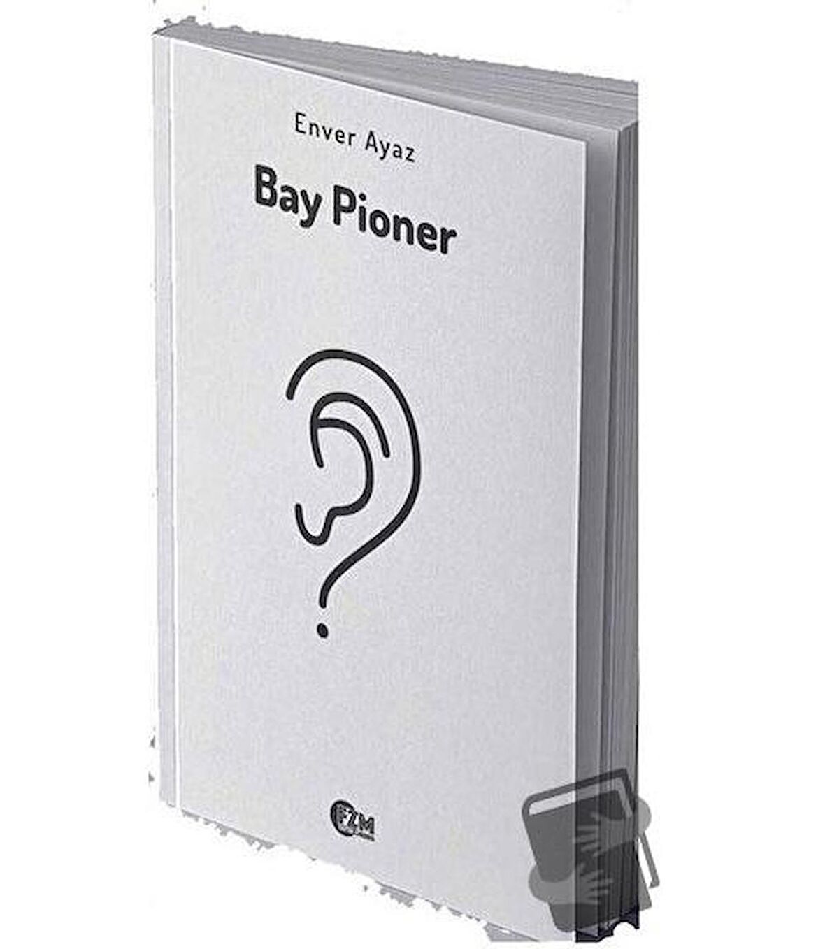 Bay Pioner