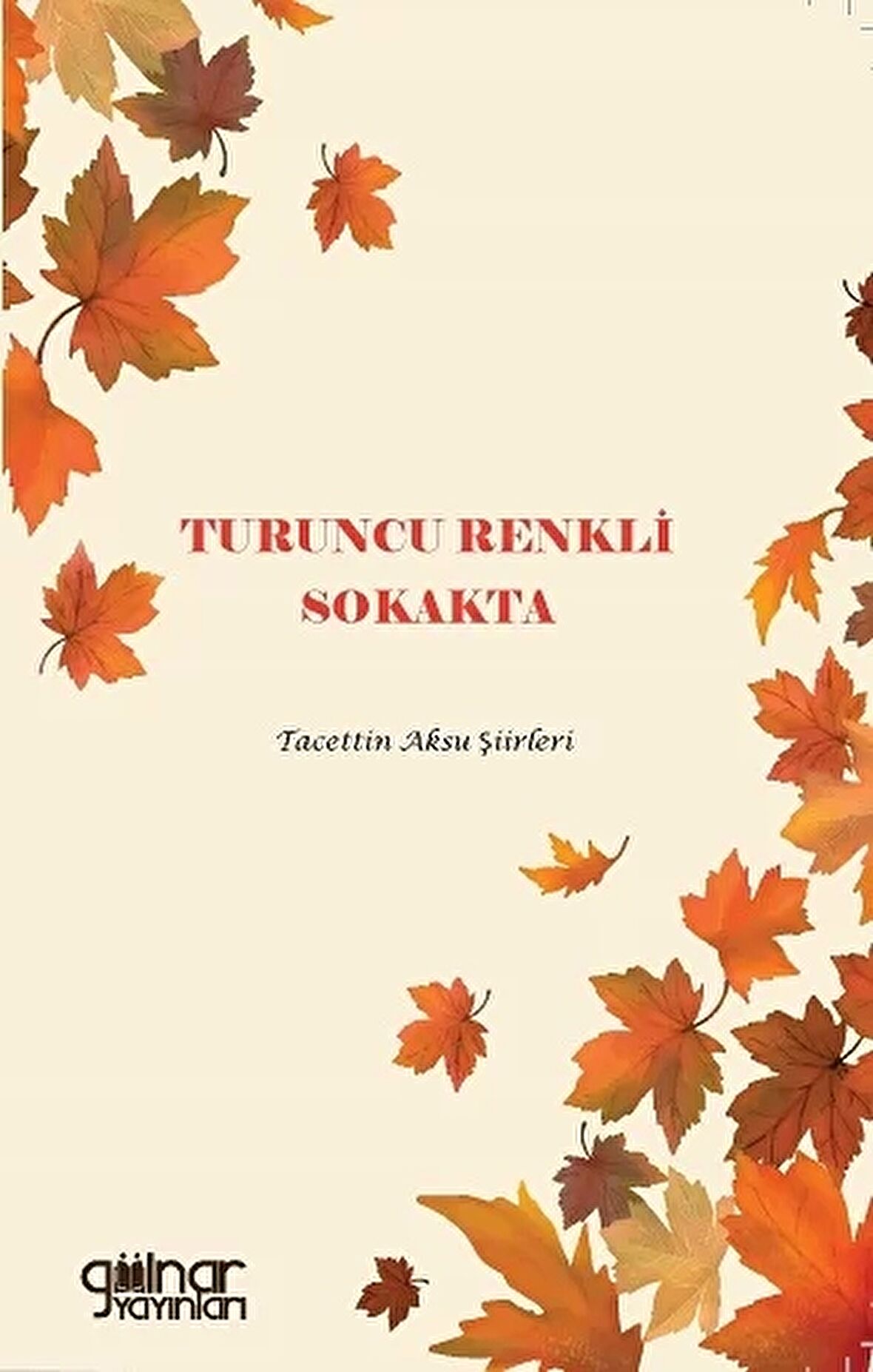 Turuncu Renkli Sokakta